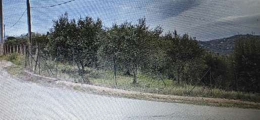 Foto Terreno agricolo in Contrada Fazzotta, San Cataldo di 8000 m²