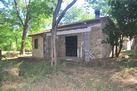 Foto Struttura sanitaria in Stradone del Tripesce, Rosignano Marittimo Vada