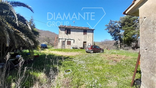Foto Cessione attività a Manciano Centro di 300 m² con 4 locali in vendita