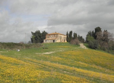 Foto Cessione attività a Pomarance di 700 m² con 25 locali in vendita
