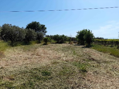 Foto Agriturismo in Via Pagliarelli, Vasto di 1170 m² con 1 locali