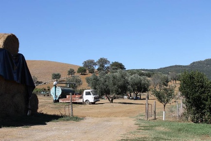 Foto Cessione attività a Grosseto Istia D'Ombrone - Poggio la Mozza