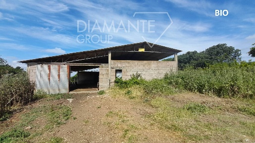 Foto Cessione attività a Manciano Centro di 1604 m² con 1 locali in vendita