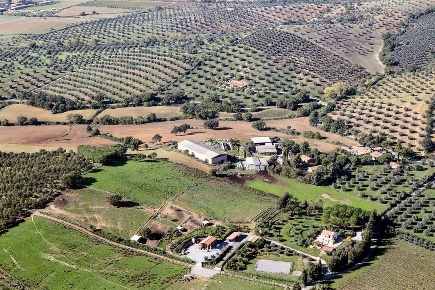 Foto Cessione attività a Orbetello di 2467 m² con 13 locali in vendita