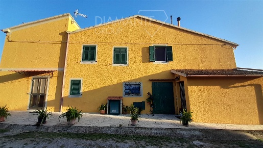 Foto Cessione attività a Magliano in Toscana Centro di 910 m² con 7 locali
