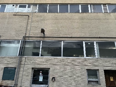 Foto Laboratorio a Lastra a Signa Stagno di 213 m² con 1 locali in affitto