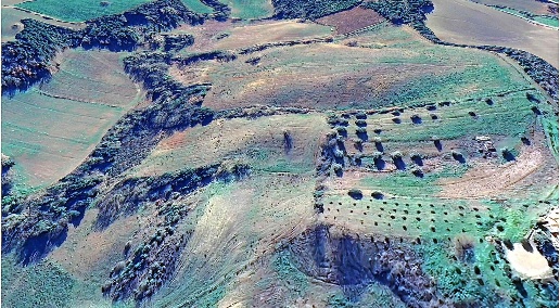 Foto Terreno agricolo in ZONA MONTORSAIO COMUNE CAMPAGNATICO, Campagnatico