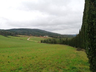 Foto Cessione attività a Murlo con 1 locali in vendita