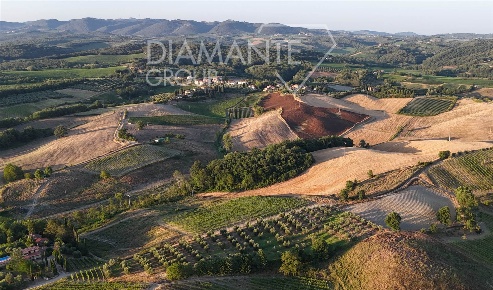 Foto Cessione attività a Castelnuovo Berardenga Pianella di 194 m²