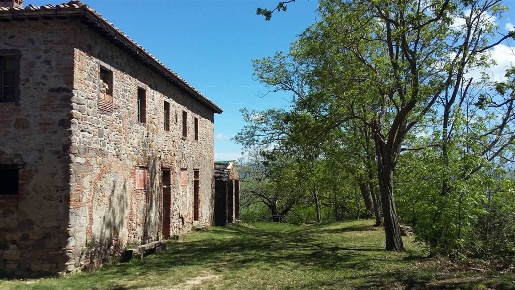 Foto Cessione attività a Lajatico di 1200 m² con 1 locali in vendita
