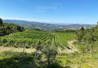 Foto Cessione attività a Seggiano di 40375 m² con 5 locali in vendita