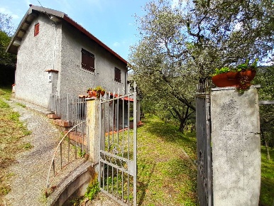 Foto Struttura sanitaria in Via Carignano, Fosdinovo di 1765 m² in vendita