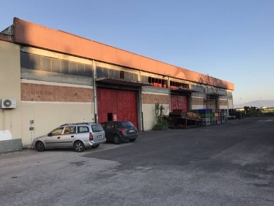 Foto Magazzino in Contrada Fico, Scordia di 1500 m² con 6 locali in vendita
