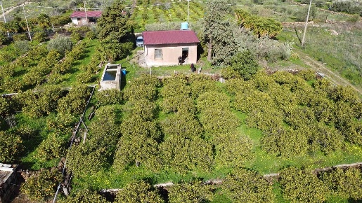 Foto Struttura sanitaria a Scordia di 16857 m² con 1 locali in vendita