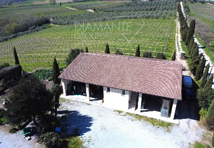Foto Cessione attività a Castel del Piano Centro con 5 locali in vendita