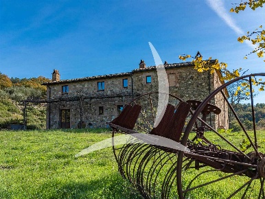 Foto Cessione attività a Acquapendente Centro di 500 m² con 24 locali