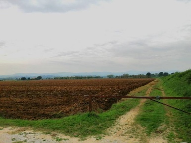 Foto Cessione attività a Montepulciano Centro con 1 locali in vendita