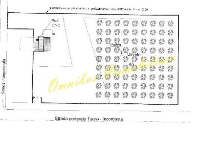 Foto Appartamento a Foggia Salice Nuovo di 160 m² con 4 locali in vendita