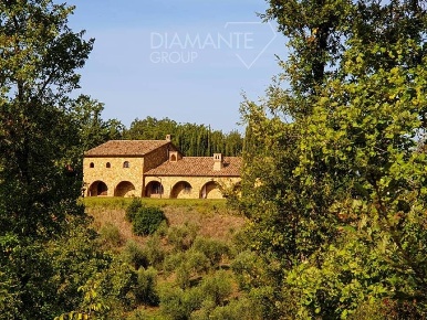 Foto Cessione attività a Gavorrano Centro di 937 m² con 10 locali