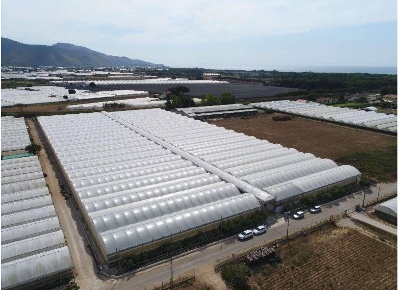 Foto Cessione attività a Fondi di 21000 m² con 1 locali in vendita
