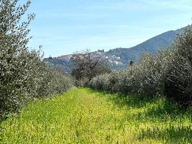 Foto Struttura sanitaria a Scarlino di 29 m² con 2 locali in vendita