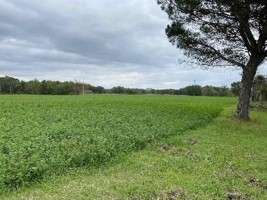 Foto Cessione attività a Castiglione del Lago Isola Polvese, Lago di 900 m²