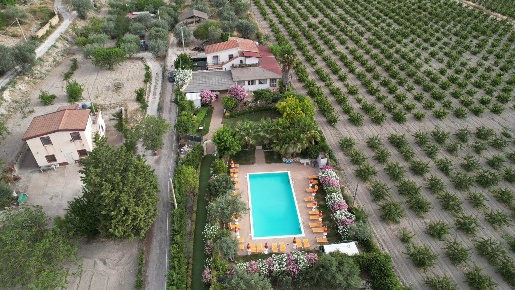 Foto Ristorante in STRADA PROVINCIALE 40, Caltanissetta di 360 m²