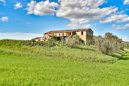 Foto Cessione attività a Trequanda Centro di 400 m² con 1 locali in vendita