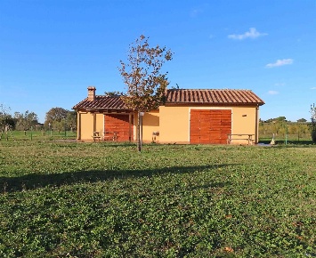 Foto Struttura sanitaria a Cecina di 110 m² con 2 locali in vendita