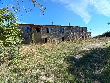 Foto Cessione attività a Scansano Centro di 300 m² con 1 locali in vendita
