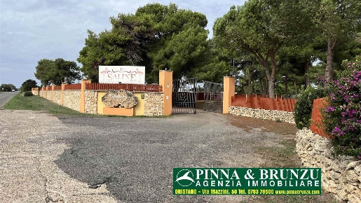 Foto Ristorante in sp 10, San Vero Milis di 500 m² in vendita