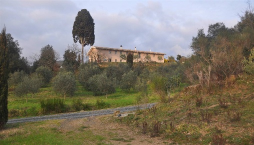 Foto Cessione attività in Via Domenico Francesco Falcucci, Livorno