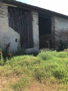 Foto Cessione attività a Motteggiana di 100 m² con 1 locali in vendita