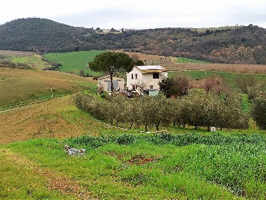 Foto Cessione attività Scansano Centro di 160 m² con 8 locali in vendita