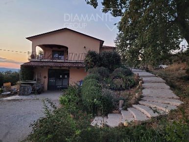 Foto Cessione attività a Manciano Centro di 403 m² con 5 locali in vendita
