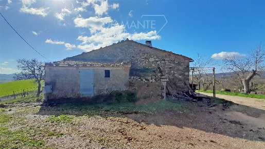 Foto Cessione attività a Scansano Centro di 350 m² con 4 locali in vendita