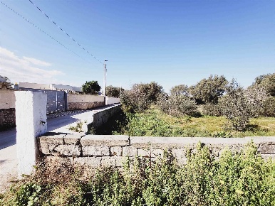Foto Agriturismo in via delle mimose, Grottaglie di 2600 m² con 1 locali