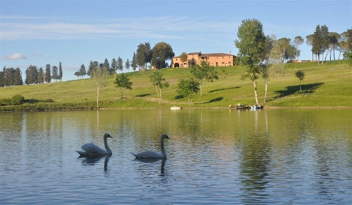 Foto Cessione attività a Peccioli di 1300 m² con 35 locali in vendita