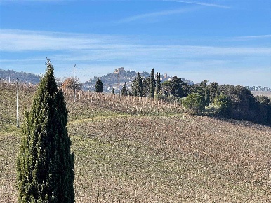 Foto Ristorante a Bertinoro Centro di 2500 m² in affitto