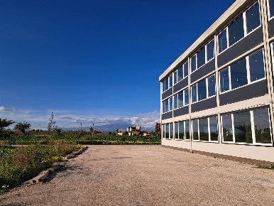 Foto Ufficio in Blocco Palma Primo sn, Catania di 2900 m² con 90 locali