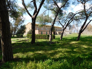 Foto Cessione attività a Follonica Cassarello, Senzuno, Salciaina