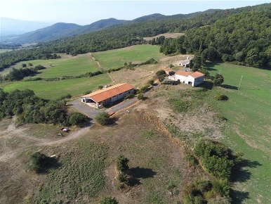 Foto Cessione attività a Riparbella di 1294 m² con 1 locali in vendita
