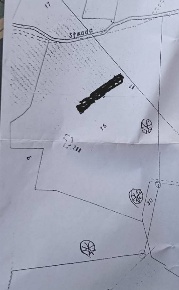 Foto Struttura sanitaria a Rosignano Marittimo di 27000 m² con 1 locali