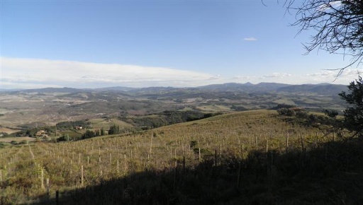 Foto Cessione attività a Volterra di 6290 m² in vendita