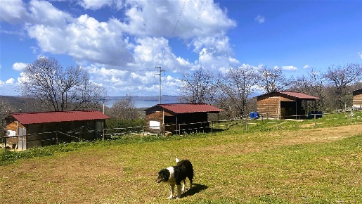 Foto Agriturismo in via del Lago, Montefiascone di 20150 m² con 12 locali