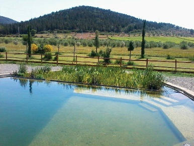 Foto Agriturismo a Castiglione della Pescaia Castiglione Paese di 500 m²