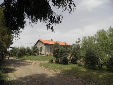 Foto Struttura sanitaria a Cecina di 200 m² in vendita
