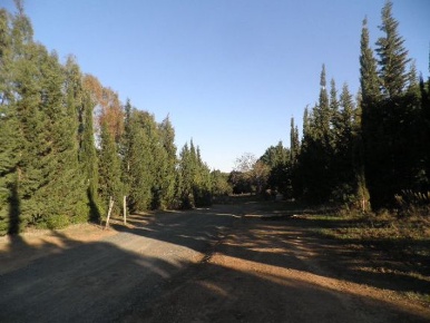 Foto Cessione attività a Cecina di 1000 m² in vendita