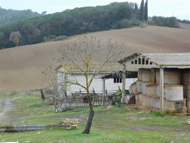 Foto Cessione attività a Gavorrano di 591 m² con 6 locali in vendita