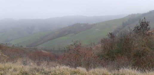 Foto Cessione attività a Brisighella di 350 m² con 8 locali in vendita